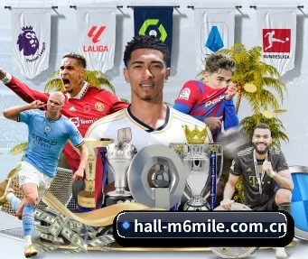 hall-m6mile.com.cn APP